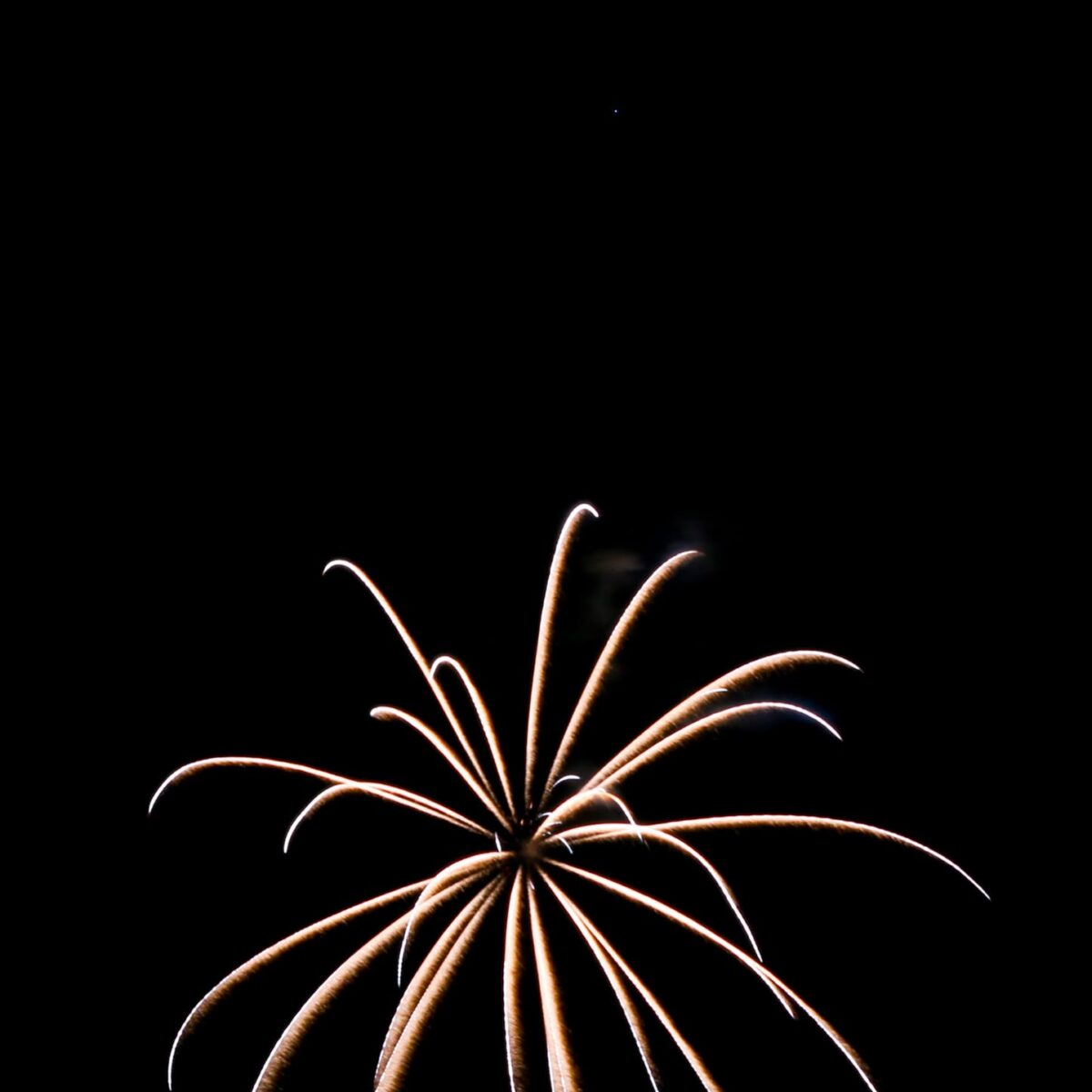 Eris Bardhi fuochi d'artificio fotografo verona (10)