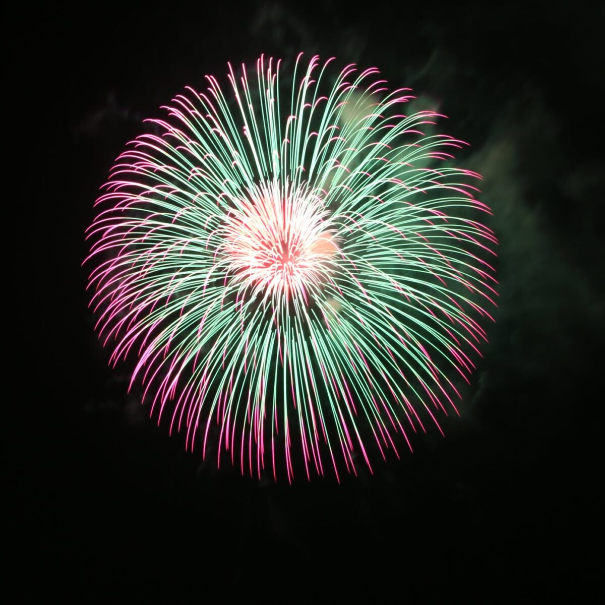 Eris Bardhi fuochi d'artificio fotografo verona (6)