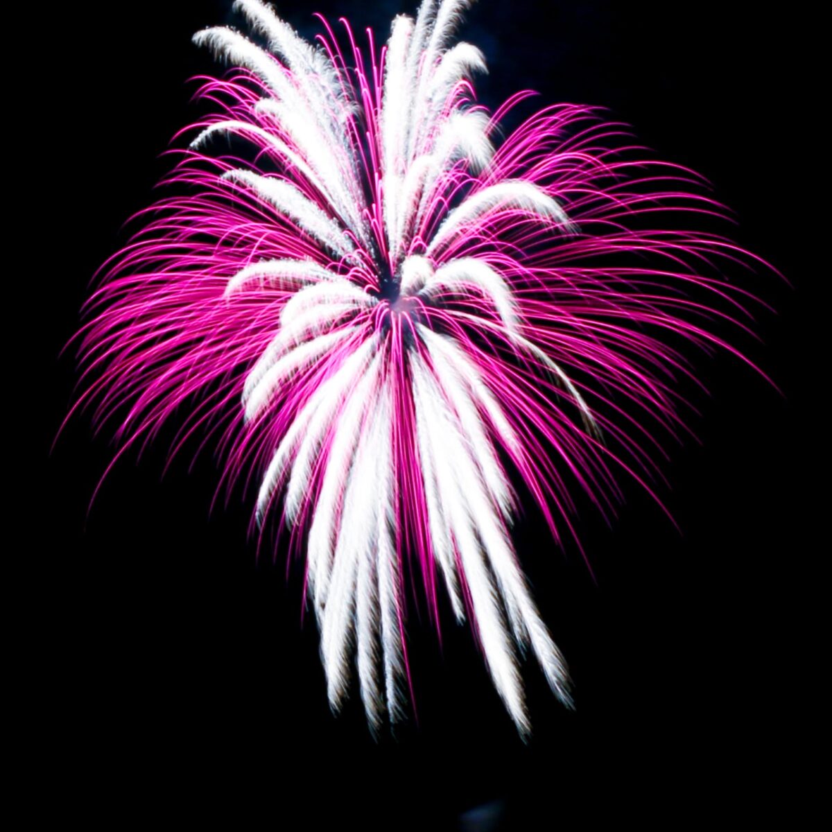 Eris Bardhi fuochi d'artificio fotografo verona (7)