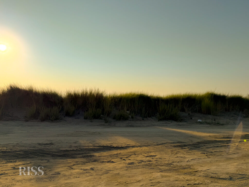 RissPhotography